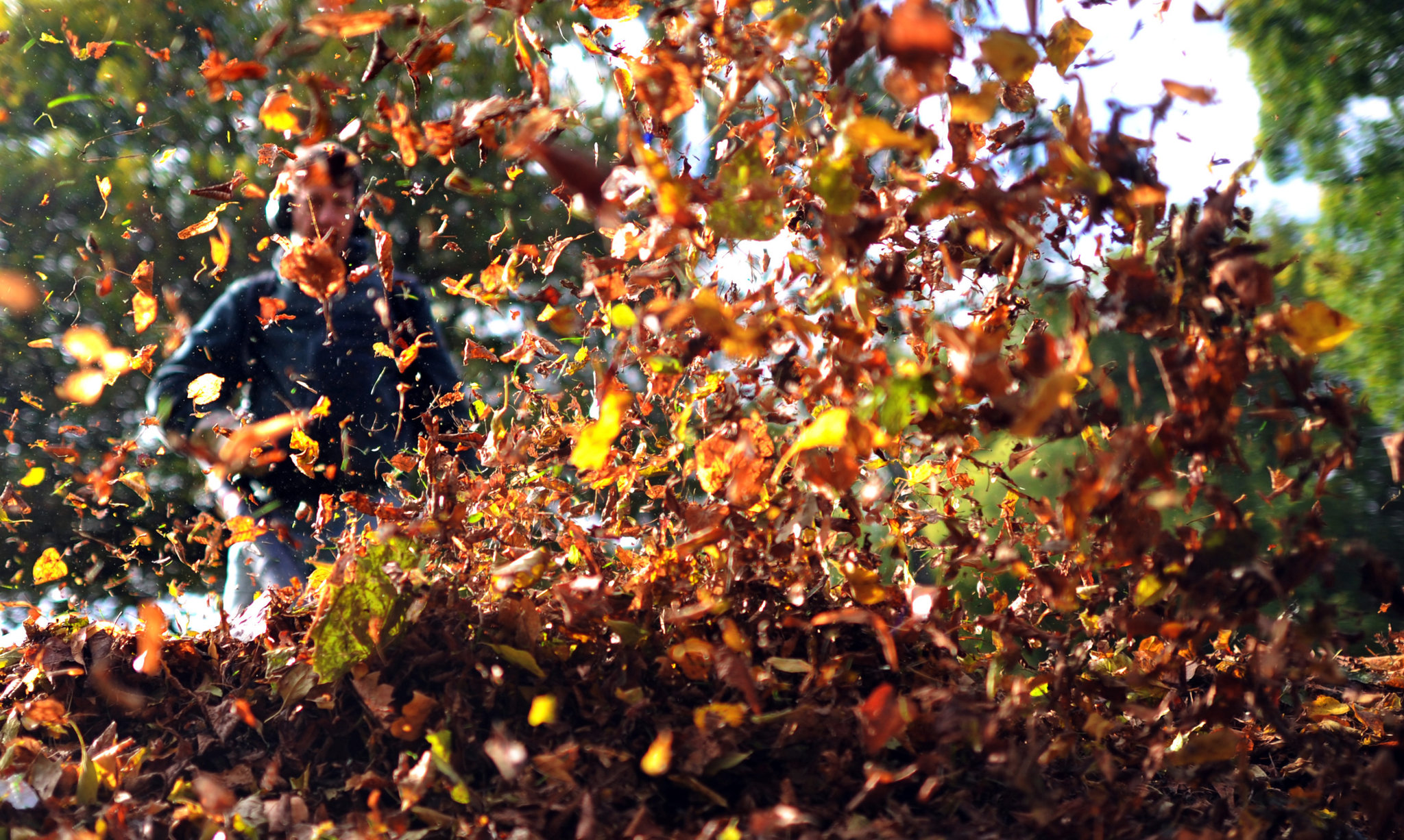 Leaf removal service Wilmington NC